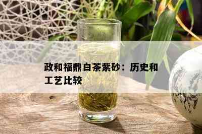 政和福鼎白茶紫砂：历史和工艺比较