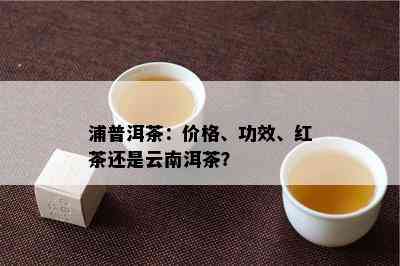 浦普洱茶：价格、功效、红茶还是云南洱茶？