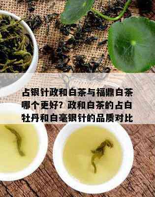 占银针政和白茶与福鼎白茶哪个更好？政和白茶的占白牡丹和白毫银针的品质对比