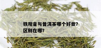 铁观音与普洱茶哪个好些？区别在哪？