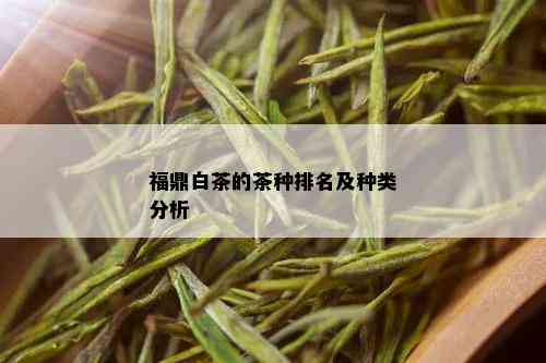 福鼎白茶的茶种排名及种类分析