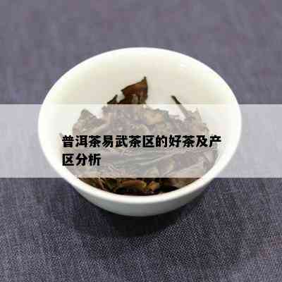 普洱茶易武茶区的好茶及产区分析