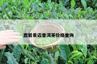 鹿岩景迈普洱茶价格查询