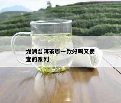 龙润普洱茶哪一款好喝又便宜的系列