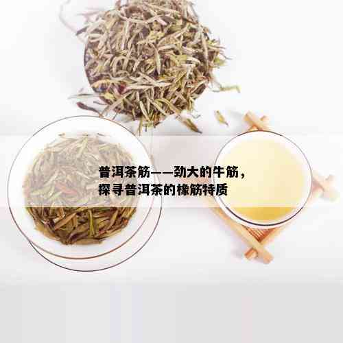 普洱茶筋——劲大的牛筋，探寻普洱茶的橡筋特质