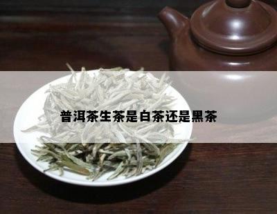 普洱茶生茶是白茶还是黑茶