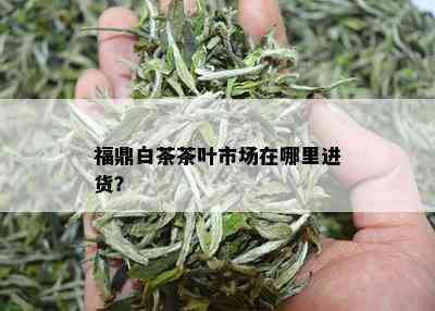 福鼎白茶茶叶市场在哪里进货？