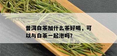 普洱白茶加什么茶好喝，可以与白茶一起泡吗？