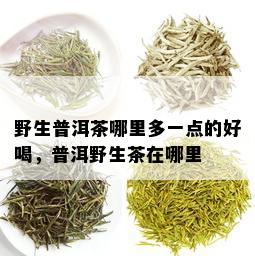 野生普洱茶哪里多一点的好喝，普洱野生茶在哪里