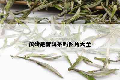 茯砖是普洱茶吗图片大全