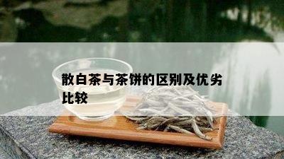 散白茶与茶饼的区别及优劣比较