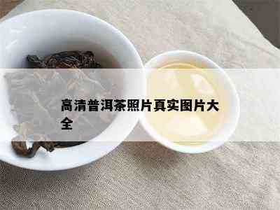 高清普洱茶照片真实图片大全