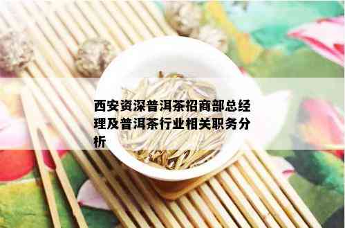 西安资深普洱茶招商部总经理及普洱茶行业相关职务分析