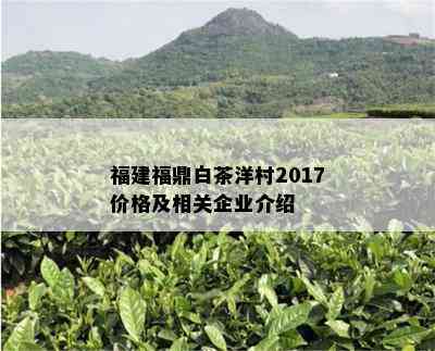 福建福鼎白茶洋村2017价格及相关企业介绍