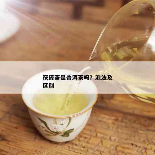 茯砖茶是普洱茶吗？泡法及区别