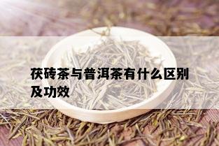 茯砖茶与普洱茶有什么区别及功效