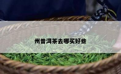 州普洱茶去哪买好些