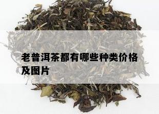 老普洱茶都有哪些种类价格及图片