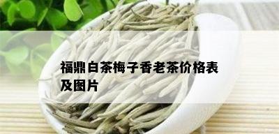 福鼎白茶梅子香老茶价格表及图片