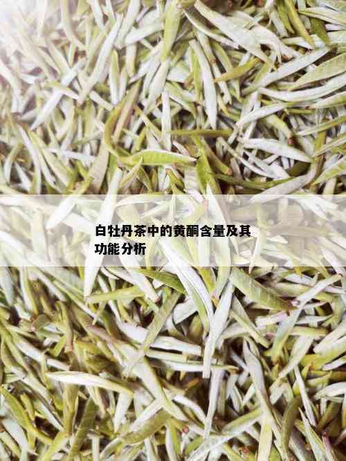 白牡丹茶中的黄酮含量及其功能分析