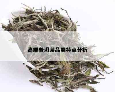 高端普洱茶品类特点分析