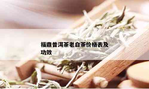 福鼎普洱茶老白茶价格表及功效