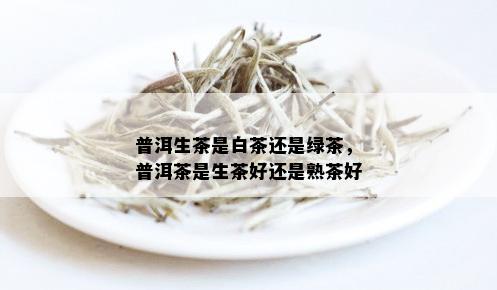 普洱生茶是白茶还是绿茶，普洱茶是生茶好还是熟茶好