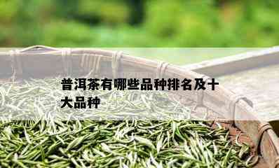 普洱茶有哪些品种排名及十大品种