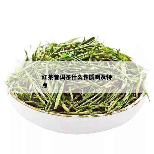 红茶普洱茶什么性质喝及特点