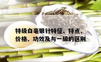 特级白毫银针特征、特点、价格、功效及与一级的区别