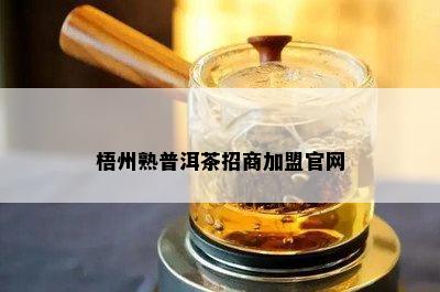 梧州熟普洱茶招商加盟官网