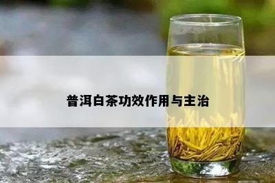 普洱白茶功效作用与主治