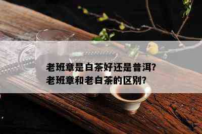 老班章是白茶好还是普洱？老班章和老白茶的区别？