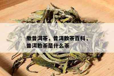 撒普洱茶，普洱散茶百科，普洱散茶是什么茶