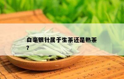 白毫银针属于生茶还是熟茶？