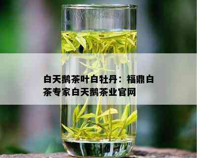 白天鹅茶叶白牡丹：福鼎白茶专家白天鹅茶业官网