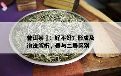 普洱茶頭：好不好？形成及泡法解析，春与二春区别