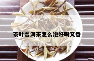 茶叶普洱茶怎么泡好喝又香