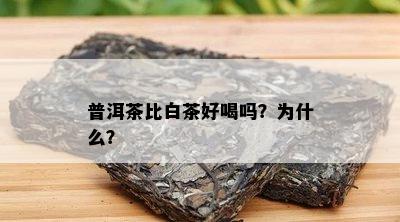 普洱茶比白茶好喝吗？为什么？