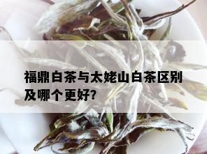 福鼎白茶与太姥山白茶区别及哪个更好？