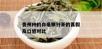 贵州种的白毫银针茶的真假及口感对比