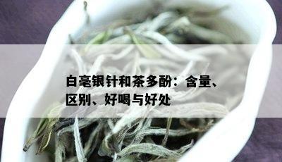 白毫银针和茶多酚：含量、区别、好喝与好处