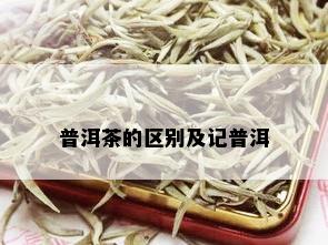 普洱茶的区别及记普洱