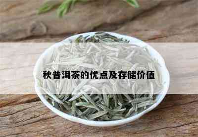 秋普洱茶的优点及存储价值