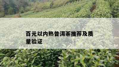 百元以内熟普洱茶推荐及质量验证