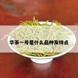 华茶一号是什么品种及特点