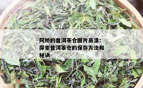 阿娇的普洱茶仓图片高清：探索普洱茶仓的保存方法和秘诀