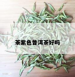 茶紫色普洱茶好吗