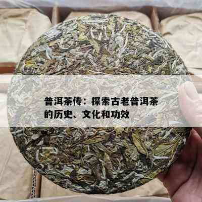 普洱茶传：探索古老普洱茶的历史、文化和功效