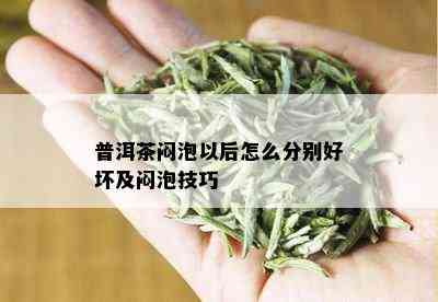 普洱茶闷泡以后怎么分别好坏及闷泡技巧